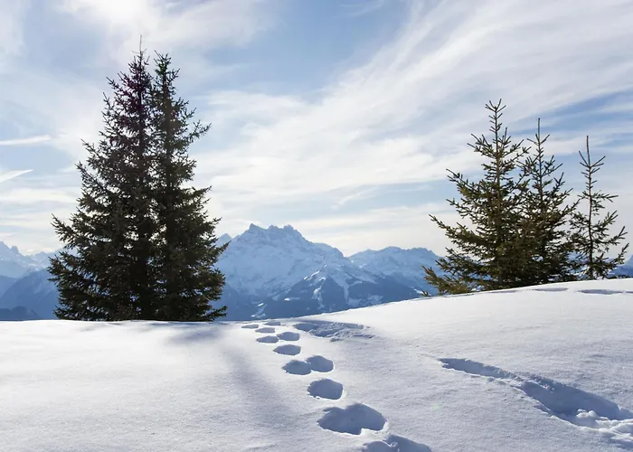 Daire Les Hesperides 2 By Interhome *